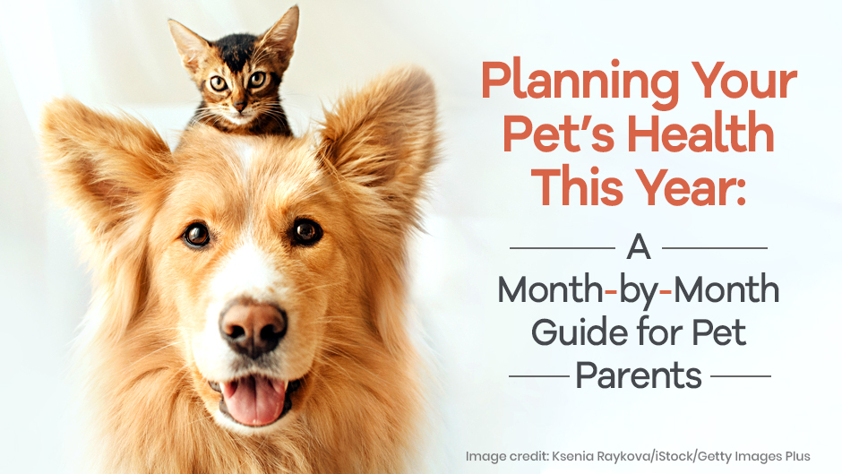 Planning-Your-Pets-Health