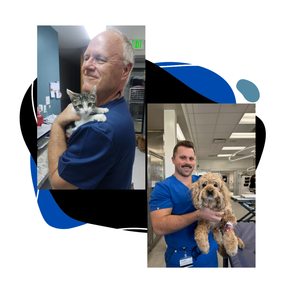 Mishawaka Animal Care Center Mishawaka, IN Veterinarian