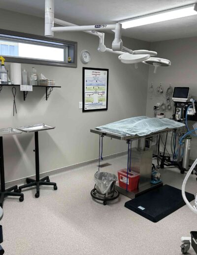 Surgery Suite