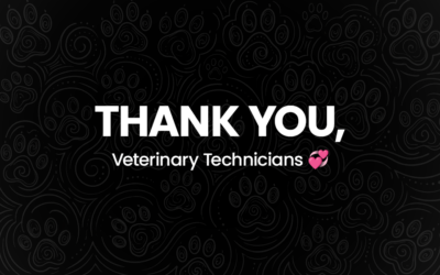 Compassion Meets Expertise: Honoring Veterinary Technicians