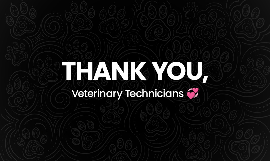 Compassion Meets Expertise: Honoring Veterinary Technicians